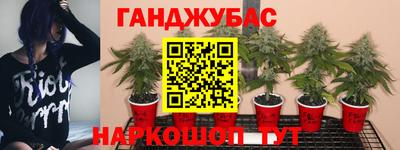 гашишное масло Кулебаки