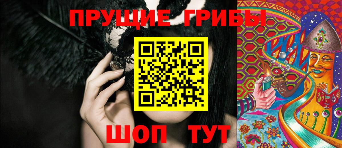 Гатчина  Галлюциногенные грибы ЛСД  Вход с VPN 