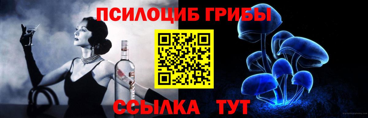 Псилоцибиновые грибы мухоморы Гатчина